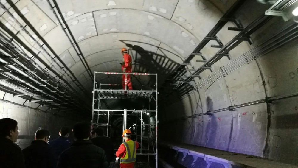 排湖风景区地铁线路病害整治及养护维修