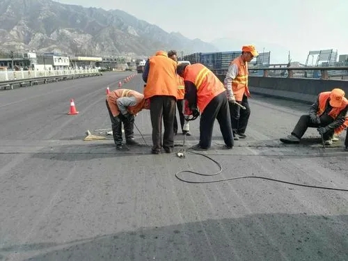 排湖风景区道路桥梁病害治理